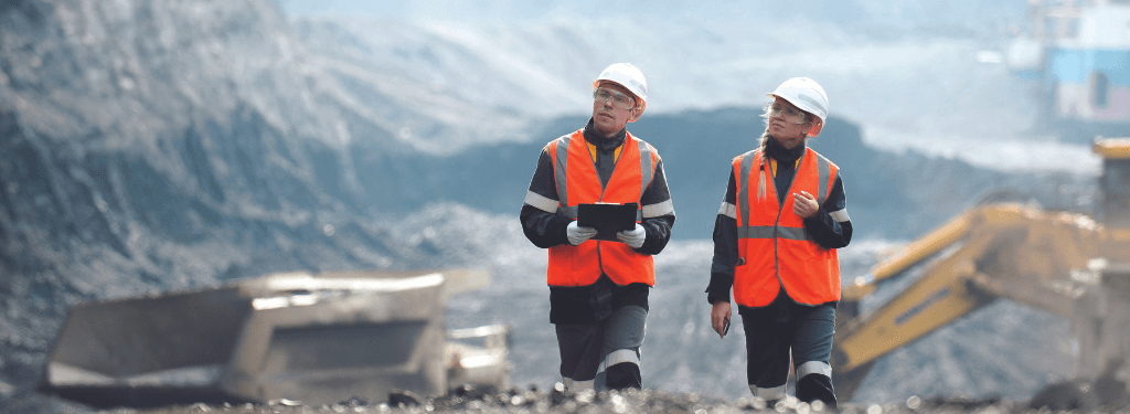 Using a mining software inspection tool on the field