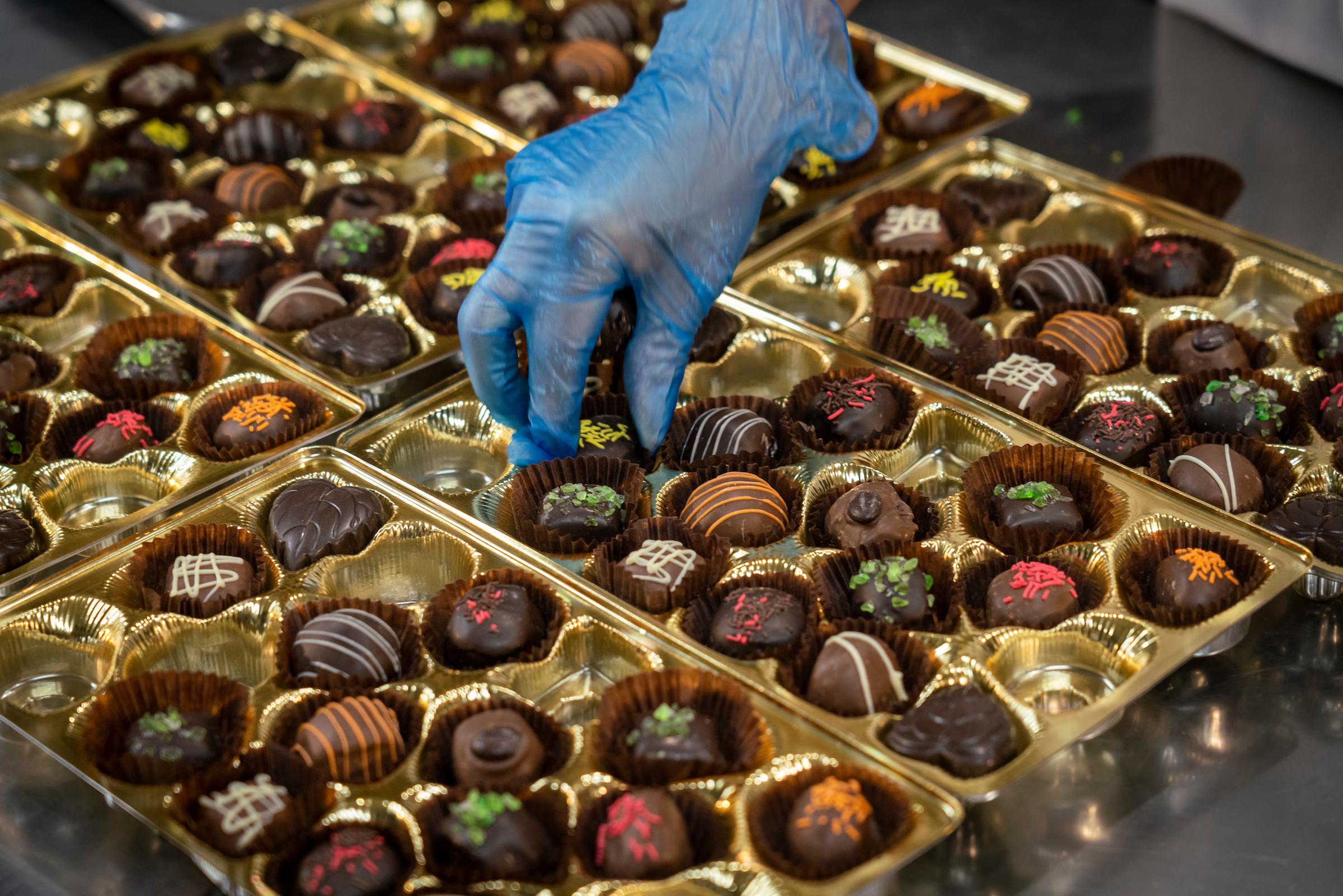 Davies Chocolates worker placing chocolate in tray with gloves