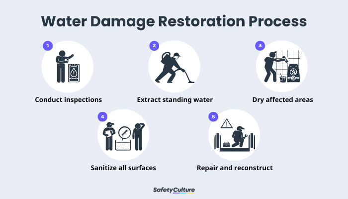 Image result for Combat Mold: Water Damage Restoration Tips infographics