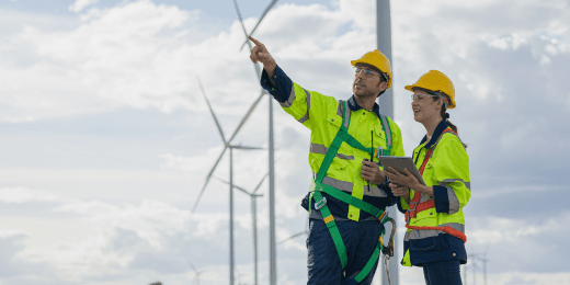 Inspectors assessing their organization's environmental sustainability initiatives