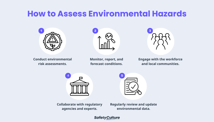 How to Assess Environmental Hazards