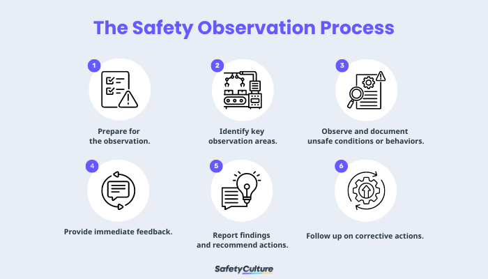 Safety observation process