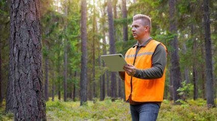 arborist using a tree work safety checklist in the forest|Tree Work Safety Checklist Sample Report|Tree Work Safety Checklist