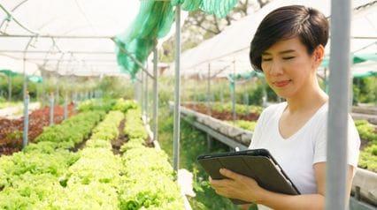 a businesswoman ensuring food traceability by documenting the status or produce using a tablet