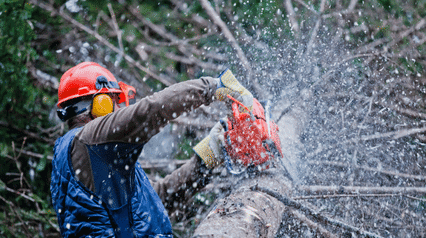 forestry equipment - worker using chainsaw to cut up forest debris