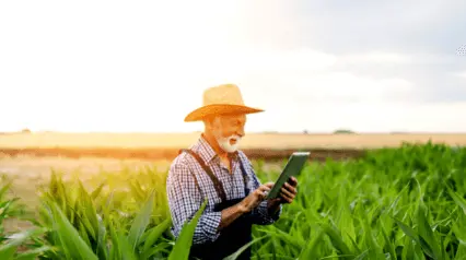 buenas prácticas agrícolas realizadas por el productor de cultivos en tableta