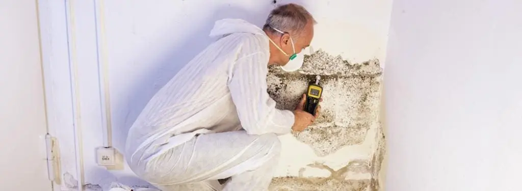 professional conducting a mold inspection|worker inspecting house for mold formations|Sporecaster Mold Inspection App|Airthings Wave Mold Inspection App|Mold Busters Mold Inspection App|Sensio Air Mold Inspection App|NORMI Mold Inspection App