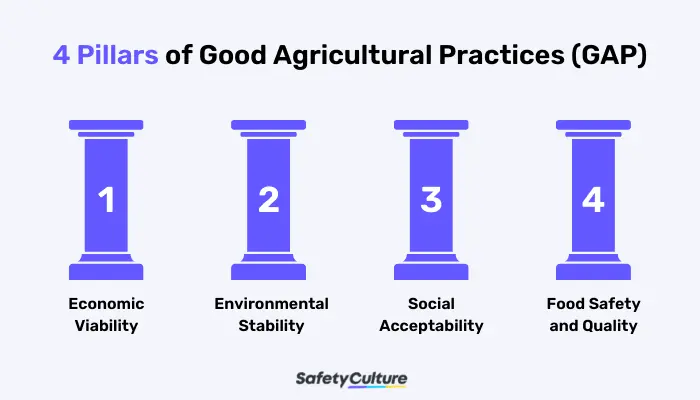 4 Pillars of Good Agricultural Practices (GAP)