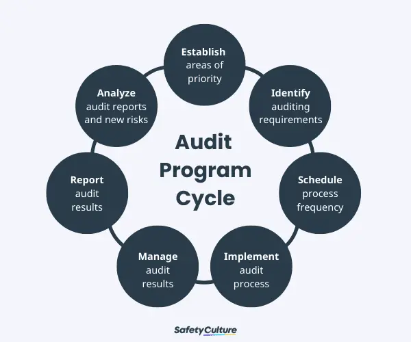 7 stages of the audit plan cycle