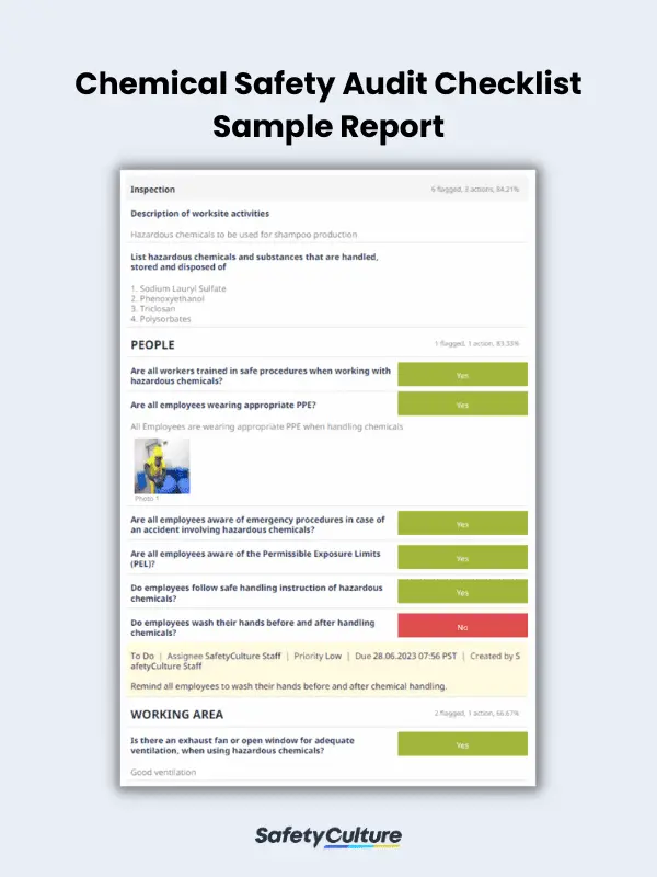 Chemical Safety Audit Sample Report