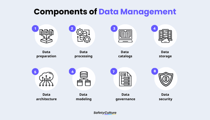 components of data management