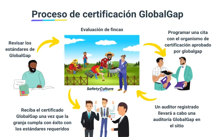 Proceso de certificación GlobalGAP