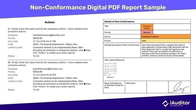 Muster eines digitalen PDF-Berichts über Nichtkonformität und Korrekturmaßnahmen