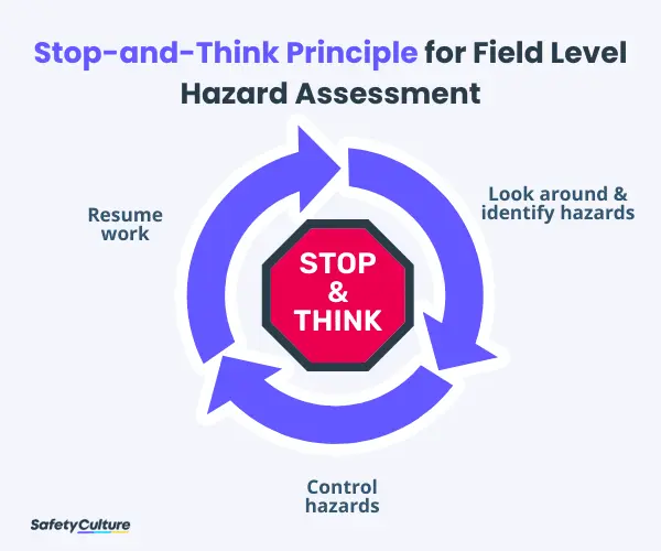 Stop-and-Think Principle for Field Level Hazard Assessment