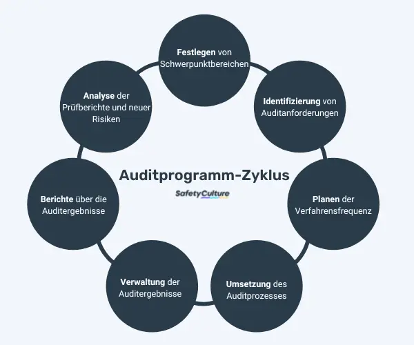 Darstellung des Auditprogramm-Zyklus in 7 Schritten.