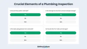 crucial elements of a plumbing inspection