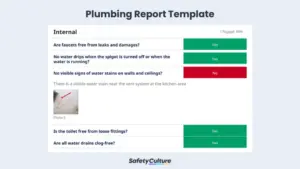 plumbing report template