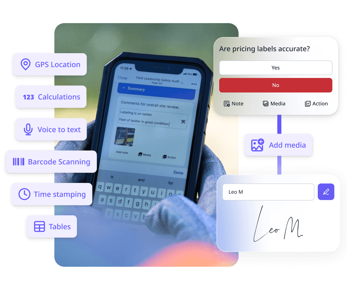 Inspections and reports asset with tables