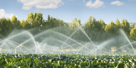 Smart Water Management - Featured Image