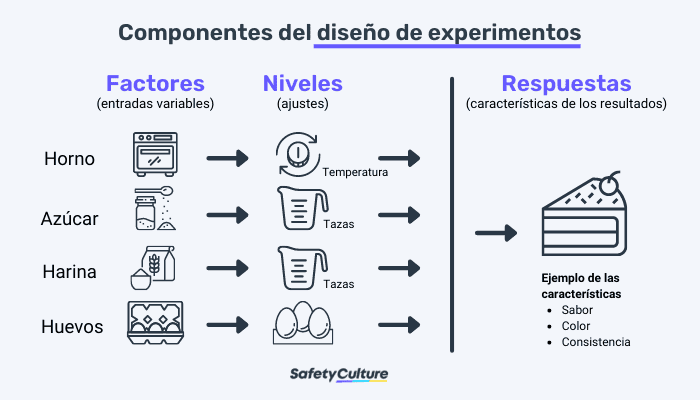 Componentes del diseño de experimentos