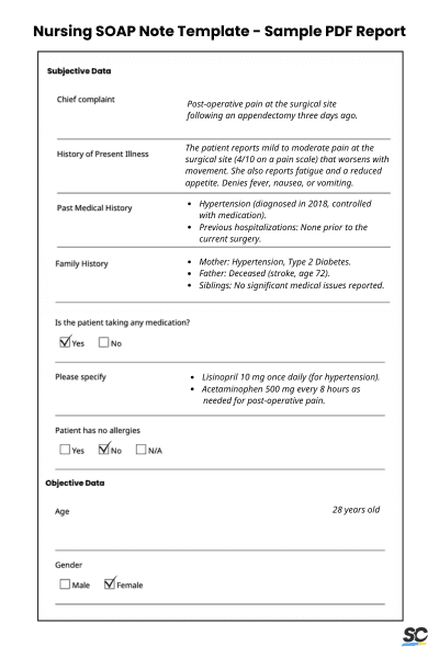 Nursing SOAP Note Template - Sample PDF Report