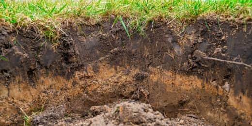 Photo of grass and what's under it, with different layers of soil and soil amendments