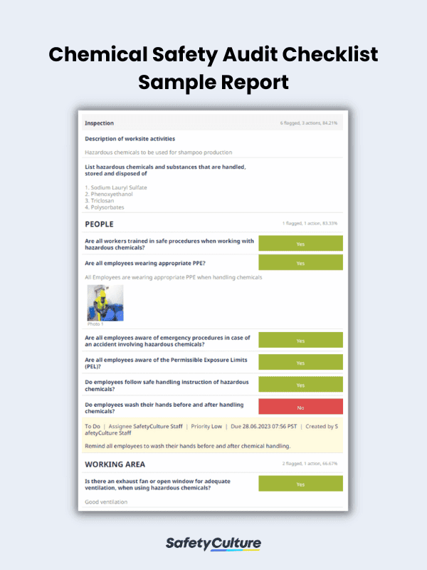 Chemical Safety Audit Sample Report