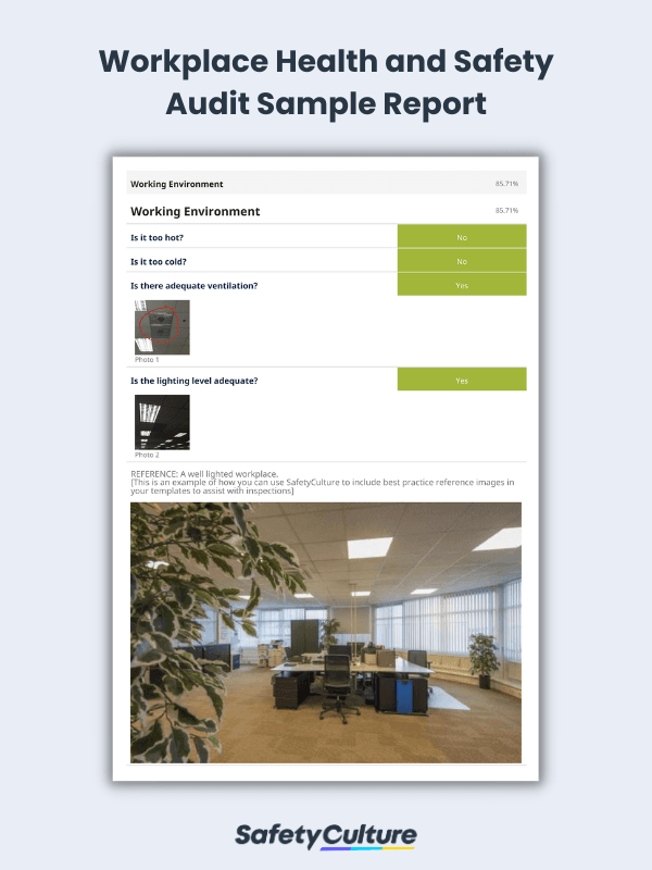 health and safety audit sample report