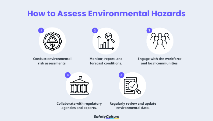 How to Assess Environmental Hazards
