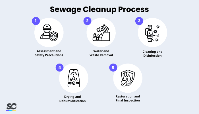An infographic on the sewage cleanup process