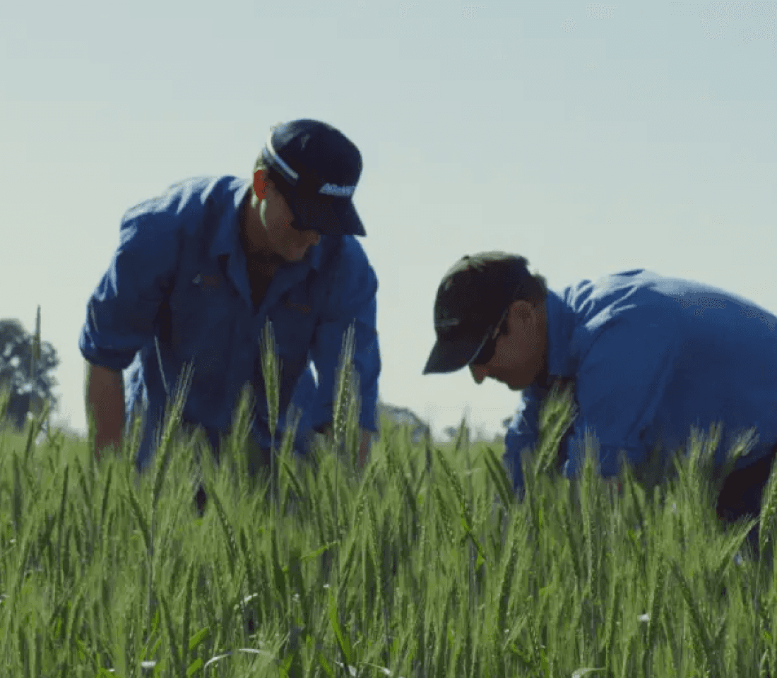 Contratiempos, sección 8, sección 1: pestaña de testimonios 1, imagen