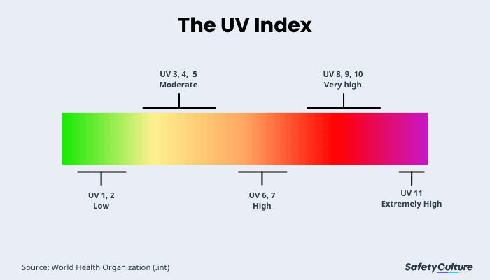 UV Index infographic