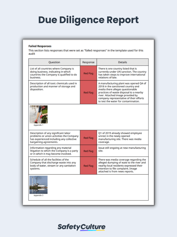 due diligence sample report