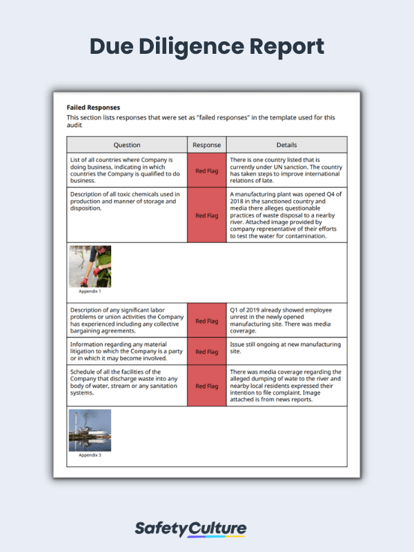 due diligence sample report