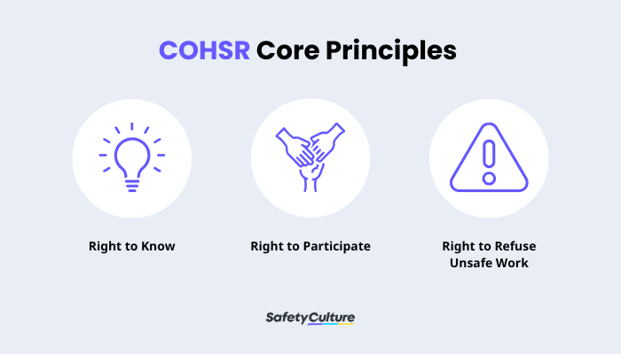 COHSR Core Principles