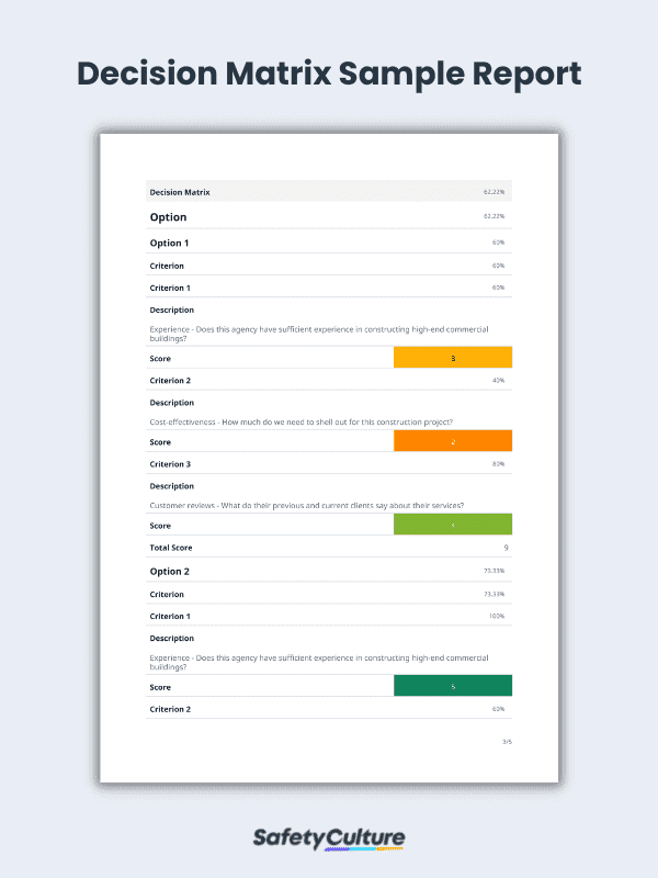 Decision Matrix Sample Report