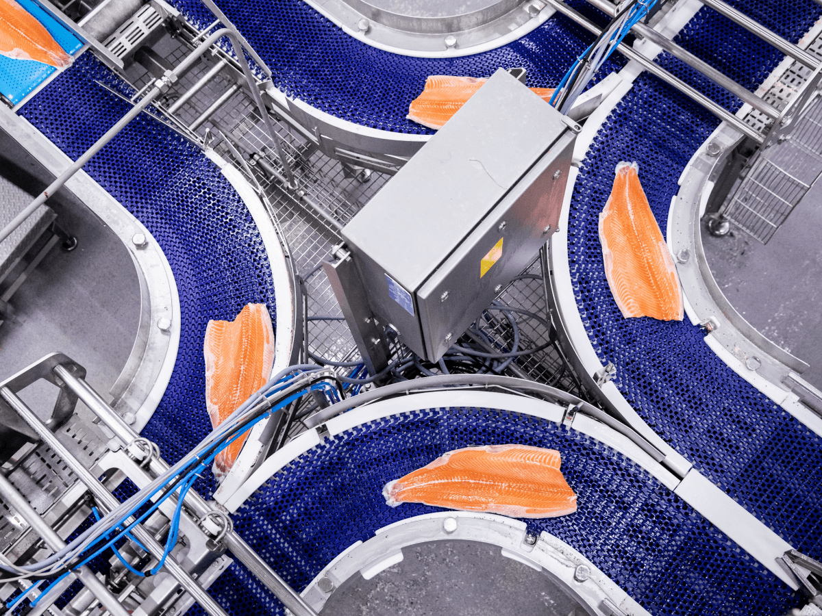 mowi témoignage client safetyculture industrie des produits de la mer production