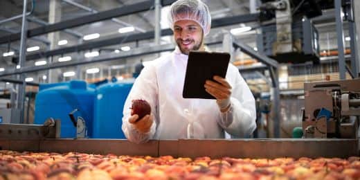 person in a food company performing food quality assurance tasks on fruits