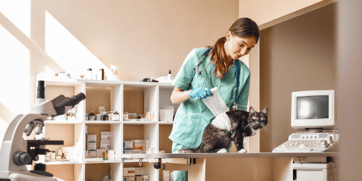 Veterinary Practice Management - Featured Image