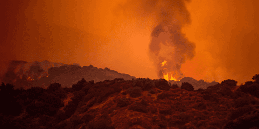 Wildfire Regulations US