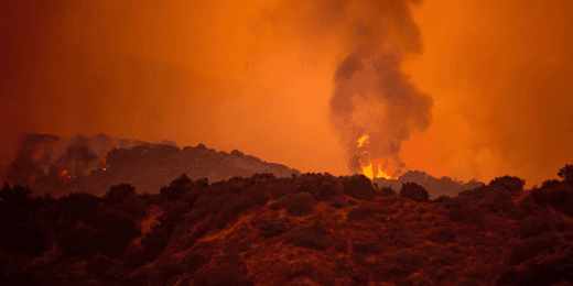 Wildfire Regulations US