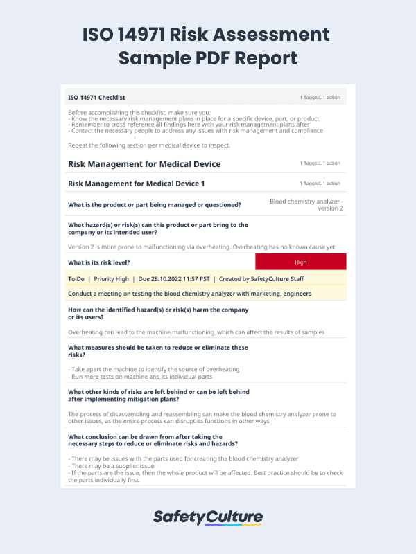 ISO 14971 PDF Report