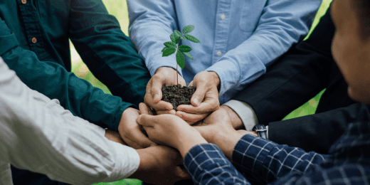 A group of people holding up a blooming plant that represents the environment.