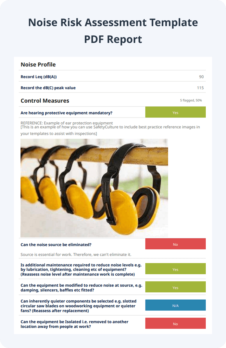 Noise Risk Assessment Template PDF Report