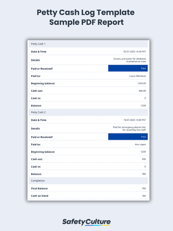 petty cash log template sample PDF report