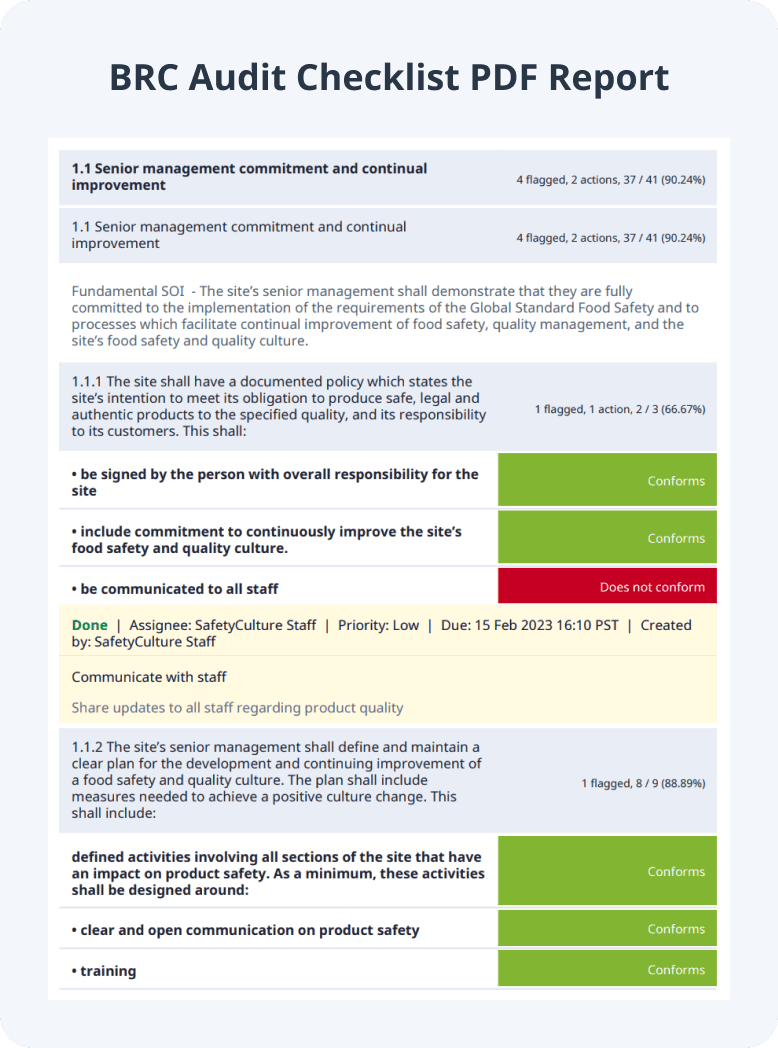 BRC Audit Checklist PDF Report