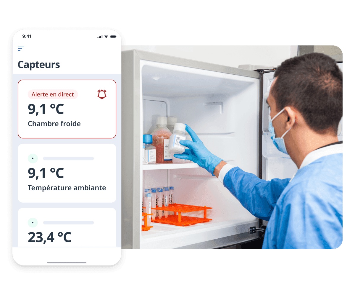 Image fichier multimédia 1