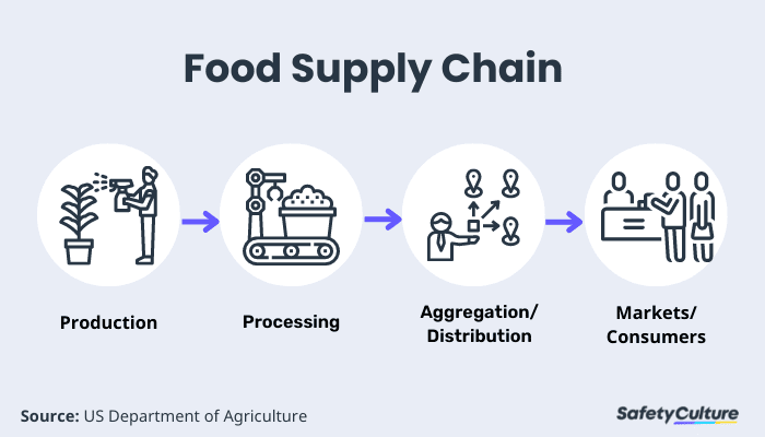Food Supply Chain