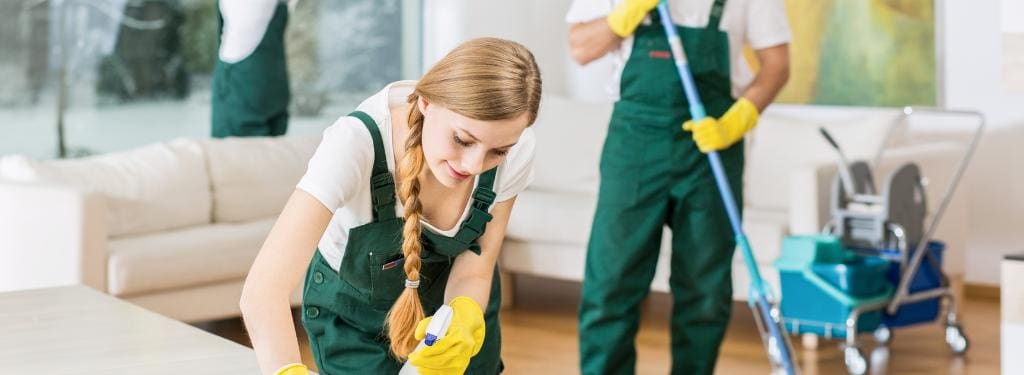 Cleaning Services Software