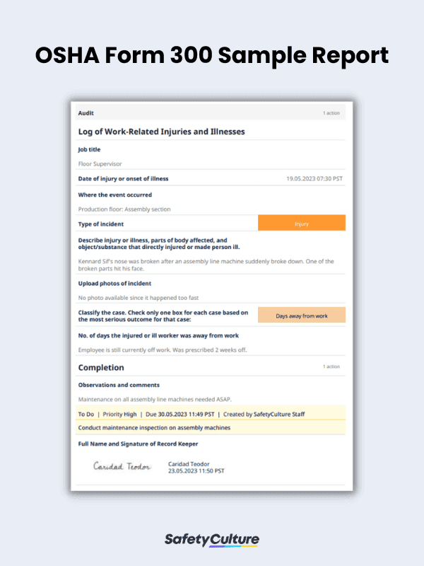 OSHA Form 300 Sample Report
